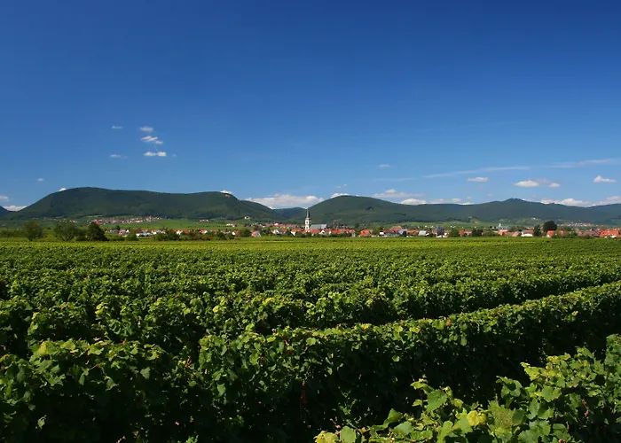 호텔 Schloss 에데스하임